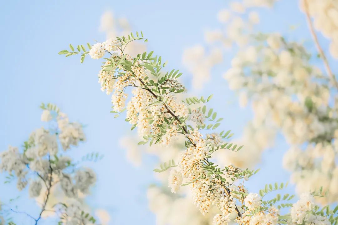 征稿通知｜2026机器学习与经济学年会（SMLE Annual Conference）