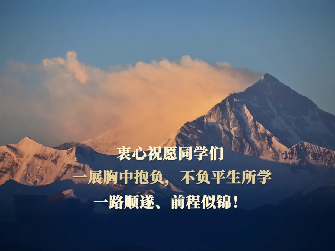 张辉014.jpg