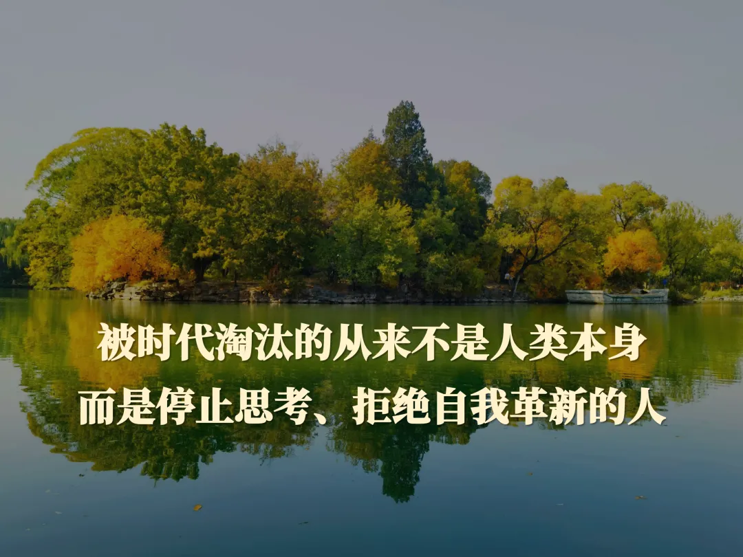 张辉06.jpg